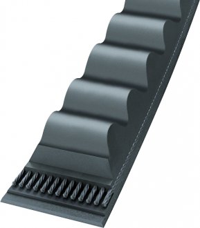 Correia em V, dentada, 13AX, 20053038/20779239, CONTINENTAL