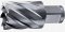 Broca anular, encaixe Weldon, 14 mm x 30 mm, DT8400-XJ DEWALT